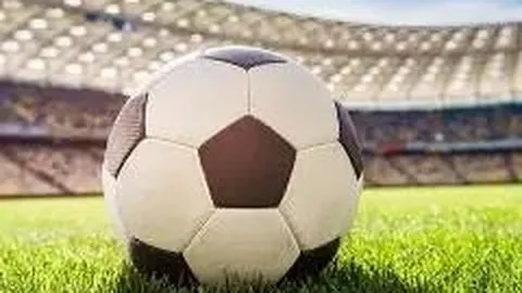 岳云鹏观影量大呼疲乏，2025春节电影票房盘点揭晓