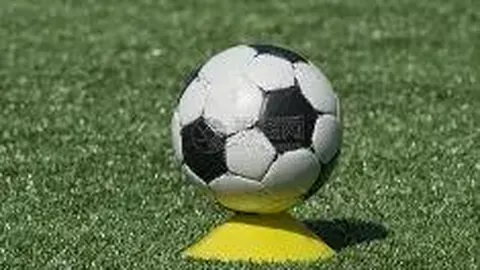 买球好平台网站 资讯 104201 8i1